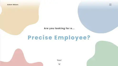 Thumbnail of My portfolio project